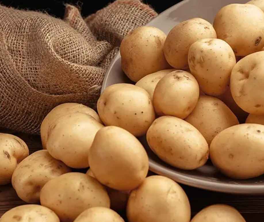 Processors & Food Industry