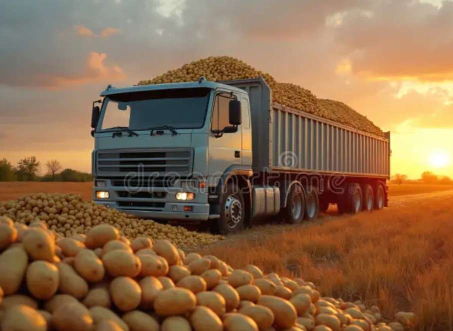 Logistics & Transport