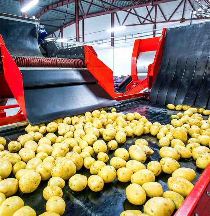 Equipment Manufacturers for Potato Processing