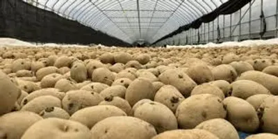How Government Subsidies Can Reduce Your Cold Storage Investment Cost