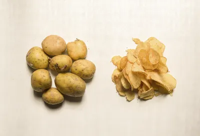Table Potato vs. Processing Potato