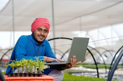 How Young Entrepreneurs Are Entering the Potato Business