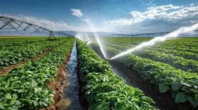 New Technology Companies Transforming Potato Farming in India.
