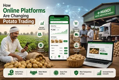 How Online Platforms Are Changing Potato Trading in India.