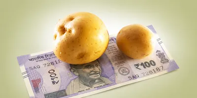 Managing Money Across the Potato Season