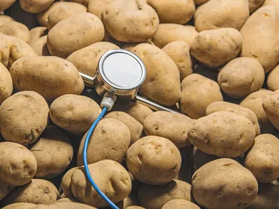 How Sensors Reduce Loss in Cold Storage