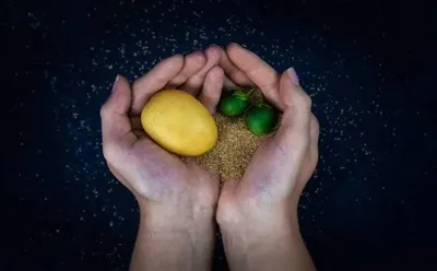 What Makes a Potato Seed Truly High-Quality?