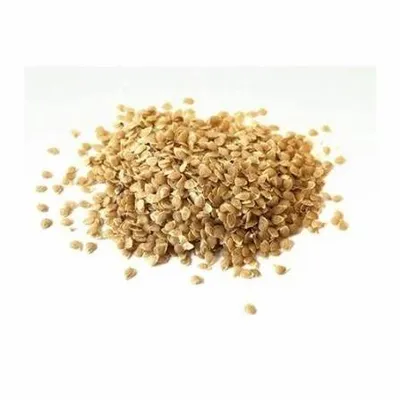 How to Choose the Right Potato Seed for the Coming Season