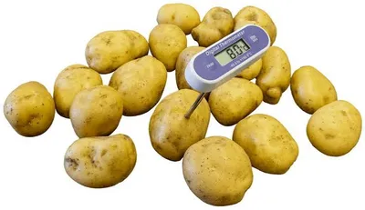 Potato Quality Parameters: Size, Dry Matter, Sugar, Skin Finish & Defects