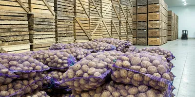 Cold Storage Planning Starts Before Harvest — What Farmers Should Know