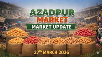 Market Update: High Arrivals & Price Correction in Azadpur Mandi Amid Navratri (March 27, 2026)