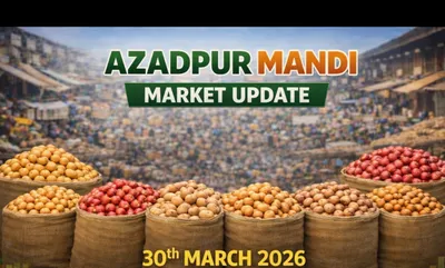 Azadpur Mandi Market Update: March 30, 2026