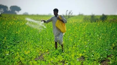India’s Fertiliser Supply Under Stress Amid Iran War – What Farmers Must Know