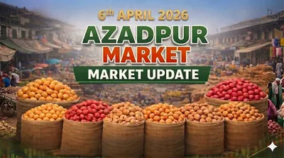 Market Update: Quality Concerns & Weak Demand Impact Azadpur Mandi Prices (April 6, 2026)