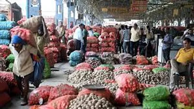 HyFarm Partners Sri BioAesthetics to Improve Potato Ecosystem Health