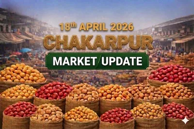 April 2026 ground report from Chakarpur mandi reveals lower wholesale rates.