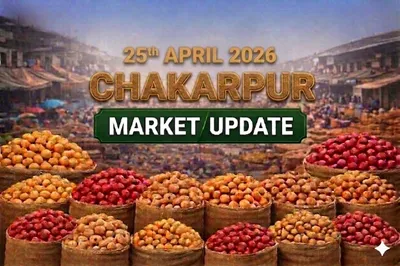 Chakerpur mandi sees steady prices as weak demand and excess low-quality stock limit market upside.