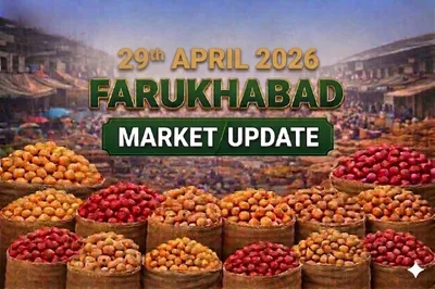 Market Update: Heavy Arrivals Push Down Prices in Farrukhabad (Satanpur) Mandi (April 29, 2026)