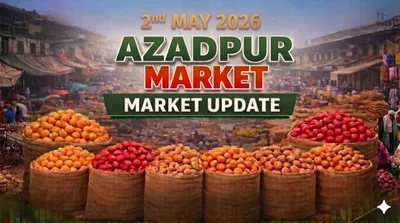 Market Update: Stable Demand with Cold Storage Flow Increasing in Azadpur Mandi (May 2, 2026)