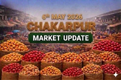 Demand Improves in Chakerpur as Weather Supports Quality, Cold Storage Flow to Pick Up (May 6, 2026)