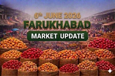 Bengal Stock Pressure and Quality Concerns Shape Potato Prices Across UP Markets