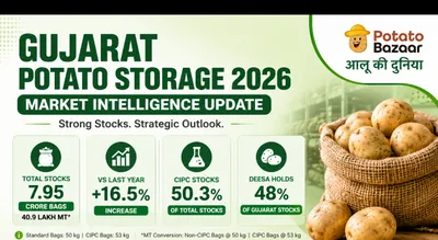 Gujarat Potato Storage 2026 – Market Intelligence Update