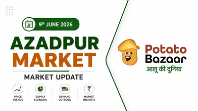 Azadpur Potato Market Faces Severe Demand Pressure Amid Extreme Heat and High Carry-Forward Stock