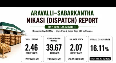 Aravalli–Sabarkantha Cold Storages Dispatch Only 16.11% of Potato Stocks Till May 2026