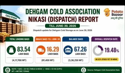 Dehgam Cold Storage Association Dispatch (Nikasi) Report: June 2026