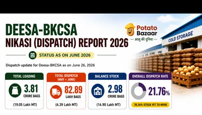 Deesa–BKCSA Potato Dispatch Report:June 2026