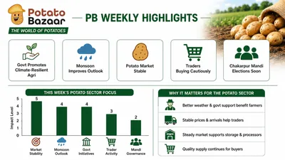 Potato Market Remains Stable While Government Pushes Agri Innovation and Climate-Ready Farming