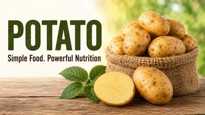 Potato: A Nutrient-Dense Superfood Hiding in Plain Sight