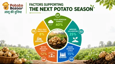 Early Monsoon Boosts Kharif Planting, Setting the Stage for India's Next Potato Season