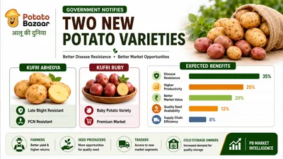 Government Notifies Two New Potato Varieties to Strengthen Disease Resistance and Improve Returns