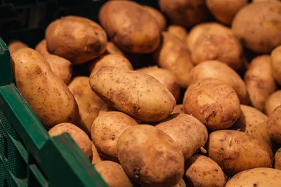 Potato Prices Show Sharp Regional Differences as Market Rates Move Higher