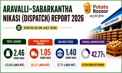 Aravalli–Sabarkantha Potato Dispatch Reaches 42.77% by July-End