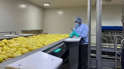Potato Processing Is Shifting Toward Asia — What Could It Mean for India?