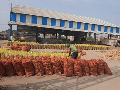 Aligarh to Get ₹93.97 Crore Potato Processing Plant, Opening a New Industrial Market for Farmers